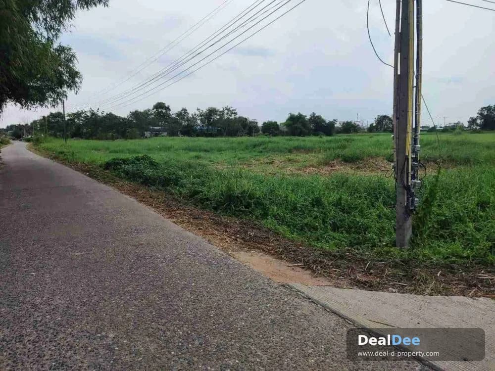 Cheap Land for Sale in Mon Nang Subdistrict, Nong Hian Subdistrict, Phanat Nikhom District